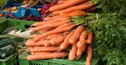 Polskę zalewa marchew z importu. Padł rekord