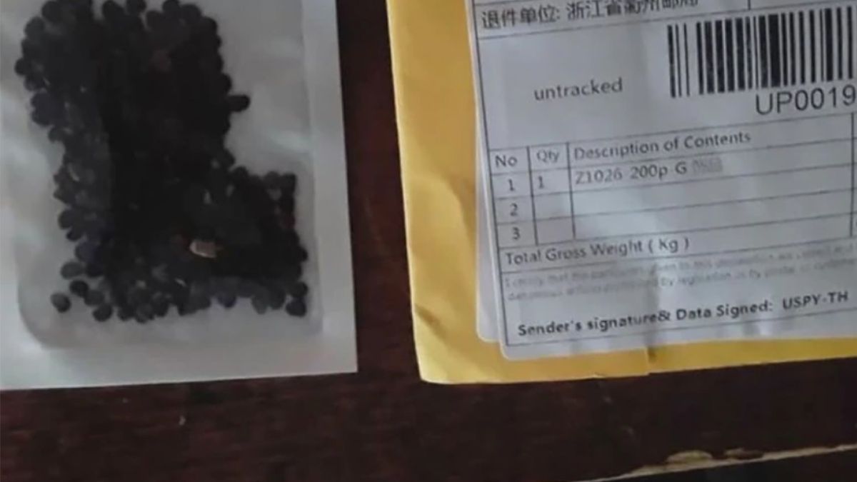 Mieszkanka USA otrzymała tajemnicze nasiona pocztą