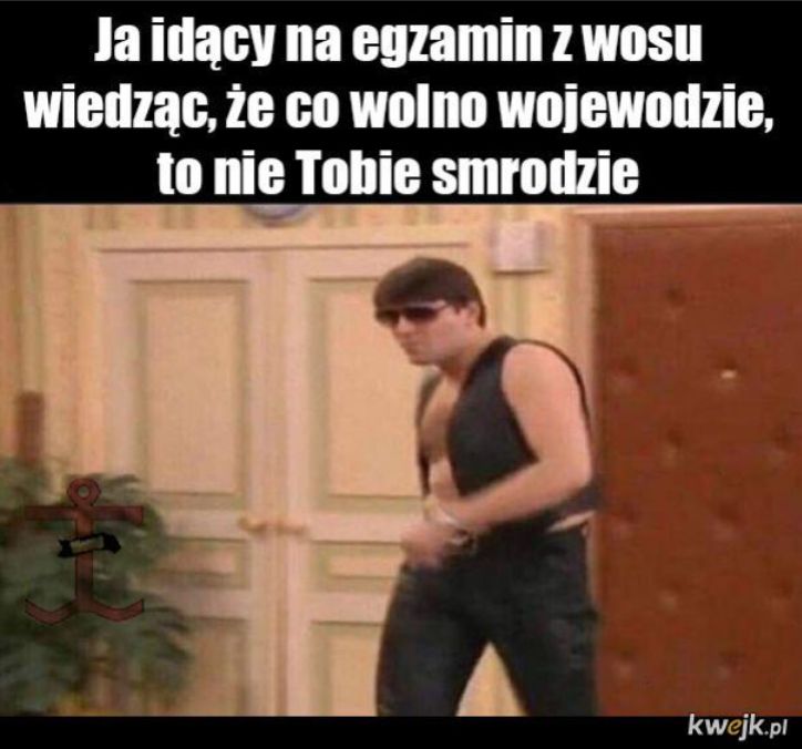 Memy matura 2026