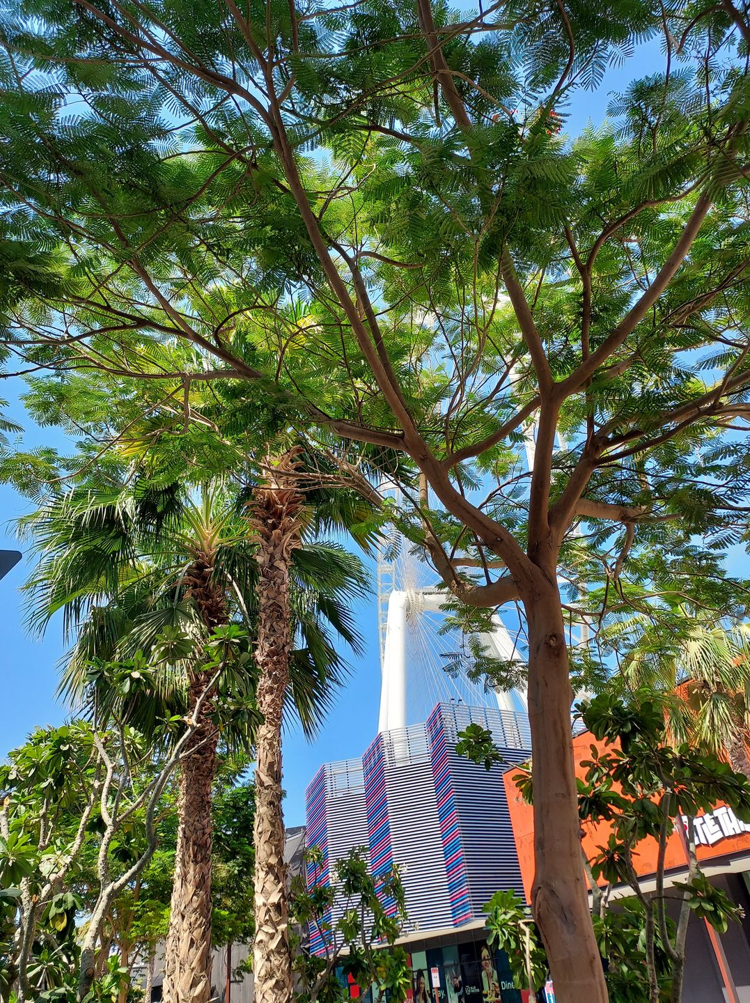 Zielona strona Dubaju