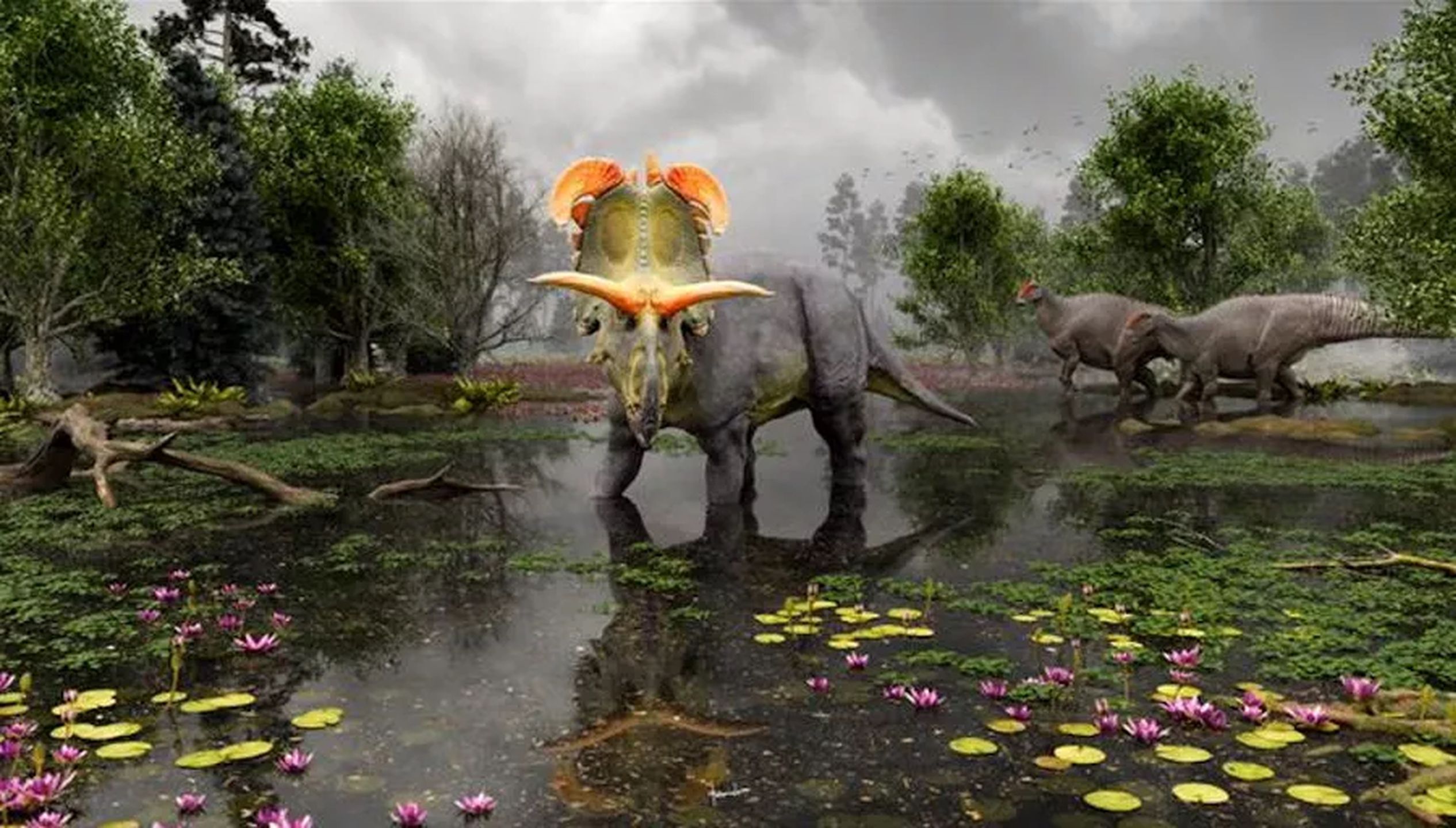 Naukowcy odkryli szczątki nieznanego dotąd gatunku rogatego dinozaura