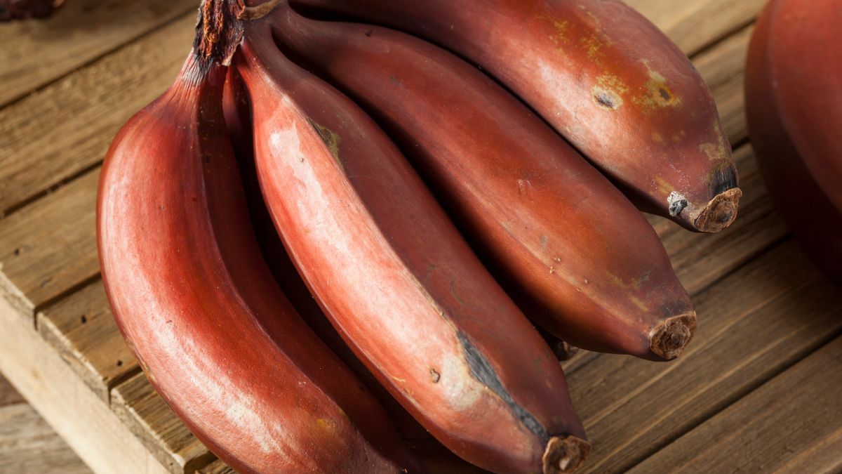 Dlaczego warto jeść czerwone banany?