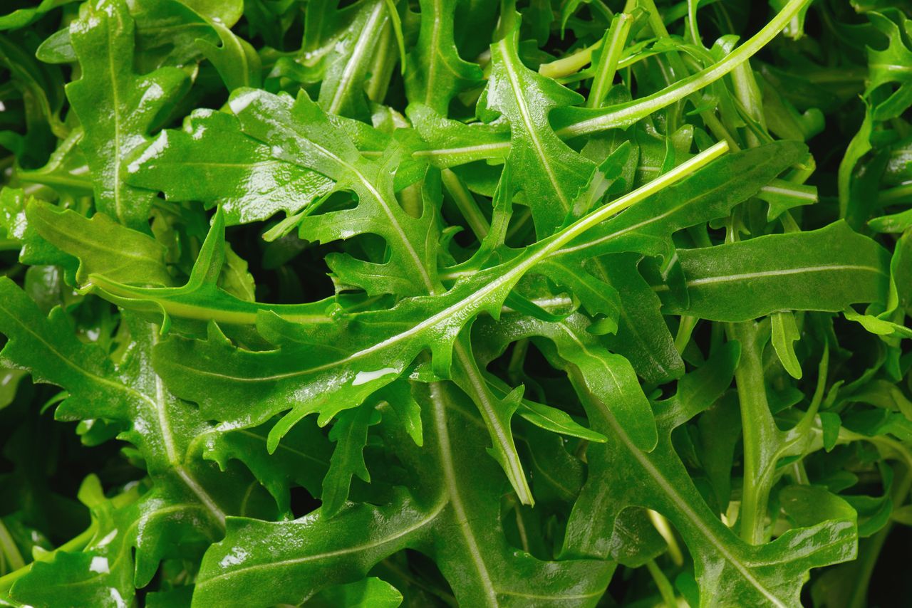 Arugula is a tasty addition to meals.