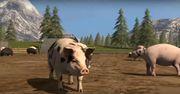 PETA żądna krwi. Domaga się rzezi zwierząt w Farming Simulator 17