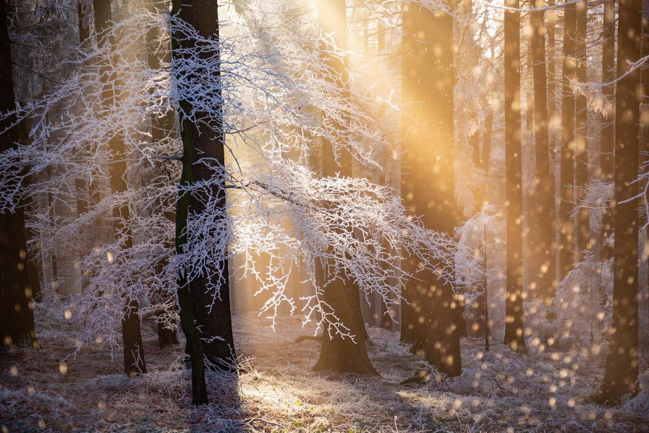 Nature Photographer of the Year 2021. Oto najlepsze zdjęcia przyrodnicze minionego roku 6