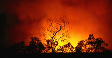 Coraz bliżej klimatycznej katastrofy. Polska może podzielić los Australii