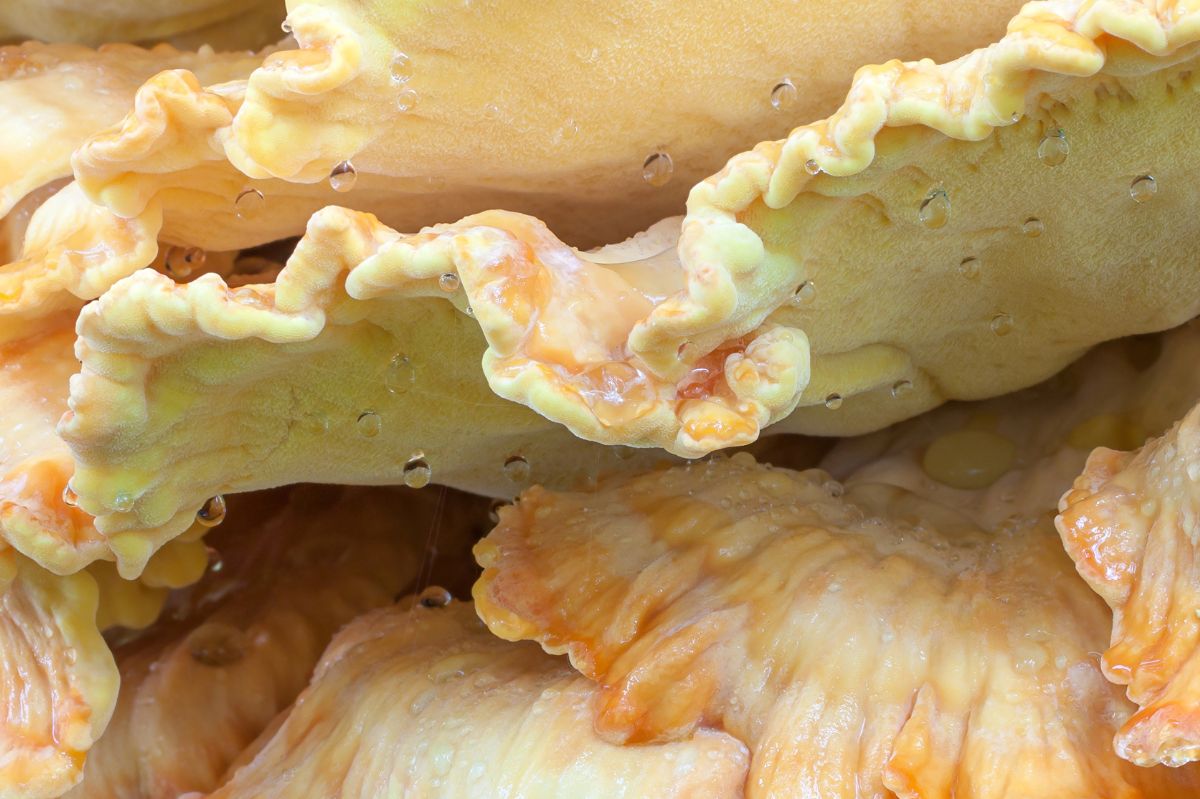 Rare find: Facebook user discovers tasty 'chicken of the woods' mushroom