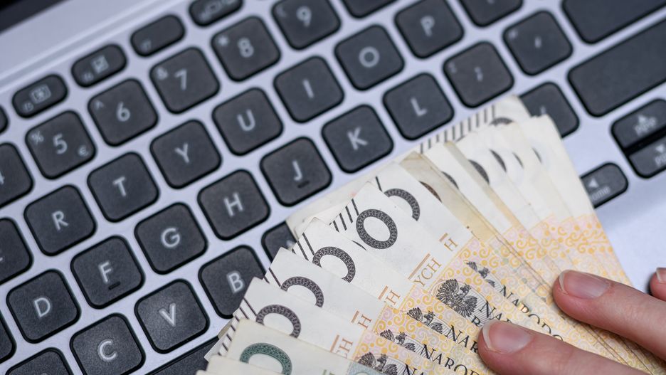 e-commerce, stos, plik, rulon, kasa, gotówka, polska, pln, waluta, zakupy w internecie, sprzedaż w internecie, handel w internecie, online, grafik, informatyk, naprawa, wirus, handel online, podatek, laptop, komputer, klawiatura, technologia, klawisz, cyberprzestrzeni, okup, haker, oszust, internet, w sieci, bliska, wyciek danych, przelew bankowy, lokata bankowa, bitcoin