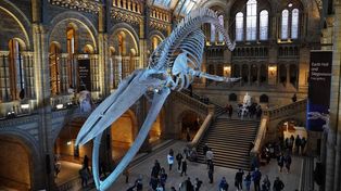 W Warszawie powstanie wielkie muzeum z dinozaurami. Takiego miejsca w Polsce jeszcze nie było. 9 mln artefaktów czeka na wystawienie