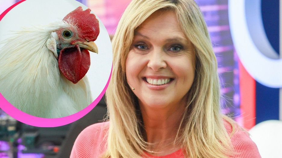 Ewa Wachowicz ujawniła sekret swoje kurnika