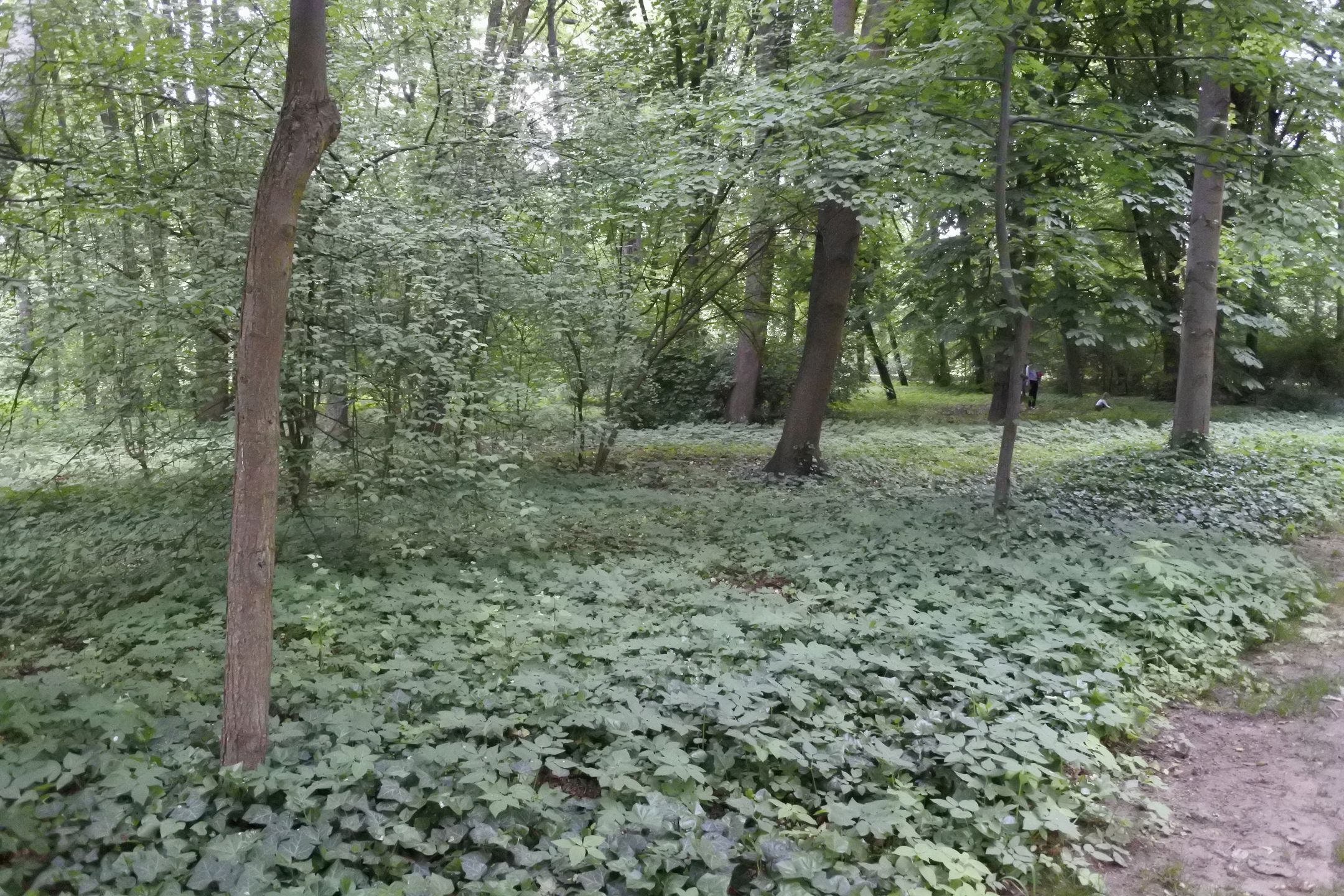 Nowy bezlusterkowiec do 2000 zł - na które aparaty warto zwrócić uwagę? 132