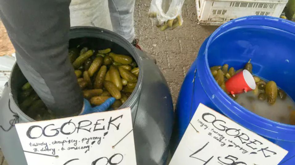 Kiszone czy marynowane - które ogórki są zdrowsze?