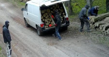 Wystarczyło kilka minut. Leśnicy pokazali zdjęcia. Wszystko się nagrało