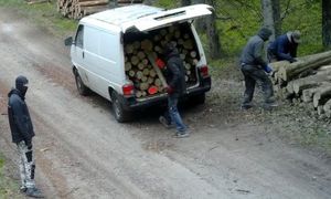 Wystarczyło kilka minut. Leśnicy pokazali zdjęcia. Wszystko się nagrało