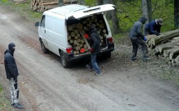 Wystarczyło kilka minut. Leśnicy pokazali zdjęcia. Wszystko się nagrało