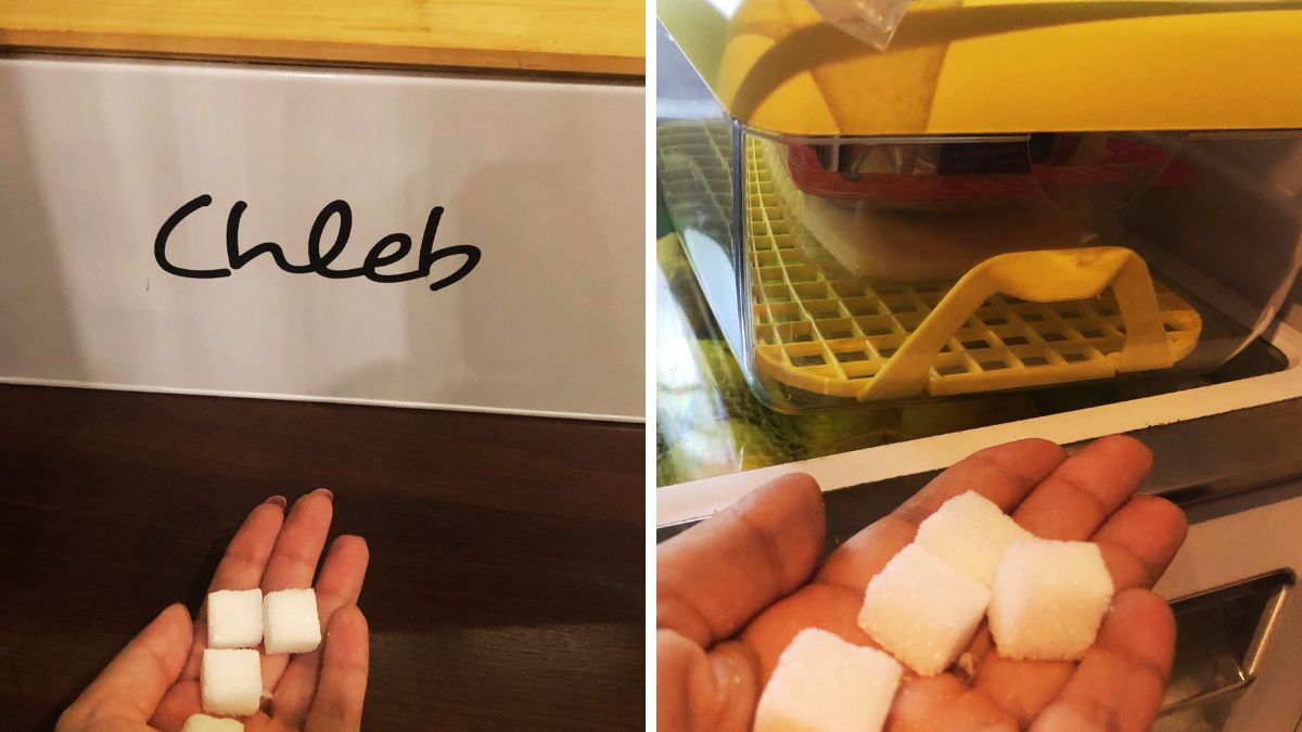 Kostki cukru warto wkładać do chlebaka i lodówki