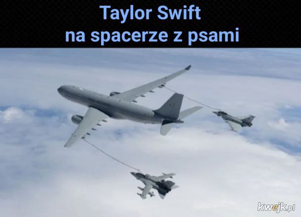 Memy o Taylor Swift (internet)