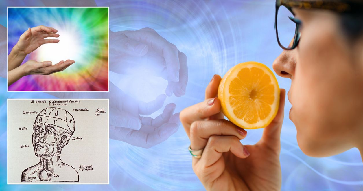 Zaginione zmysły człowieka. Czy naprawdę mieliśmy ich więcej?