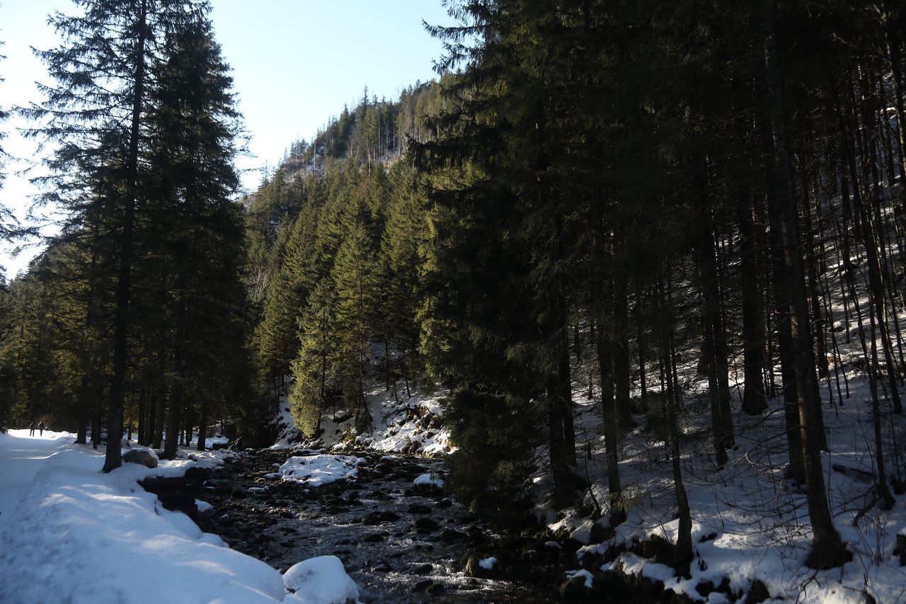 Inwestycja w przyszłość Europy. To może przynieść ogromne korzyści