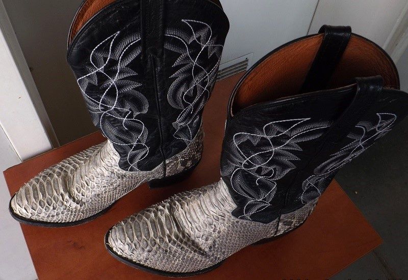 Buty ze skóry węża