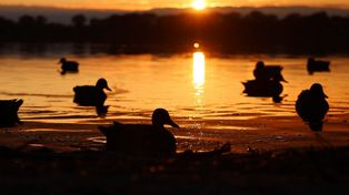Zmiana pogody w niedzielę. Sprawdź, gdzie pojawią się opady i spadnie temperatura