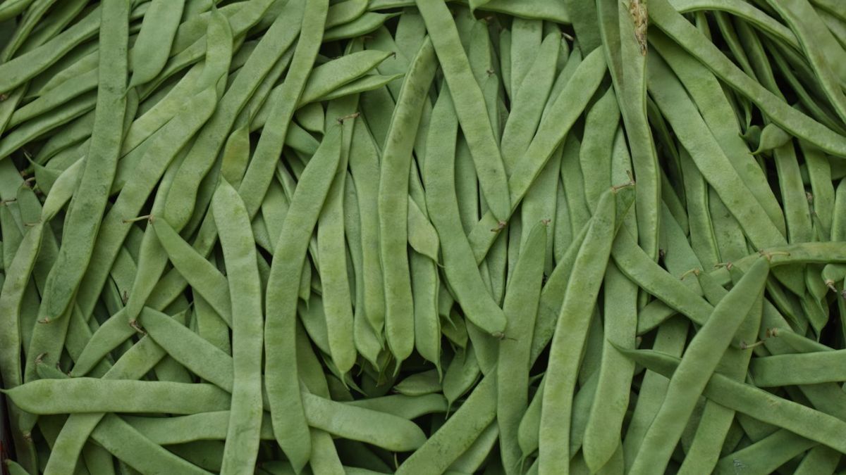 Fasolka szparagowa dla niemowlaka