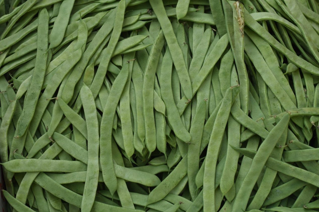 Fasolka szparagowa dla niemowlaka - od którego miesiąca można ją podawać?