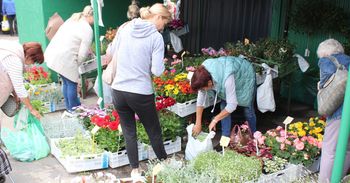 Pochmurny piątek na targowisku w Koszalinie. Co można znaleźć na stoiskach?