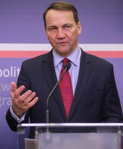 Sikorski drwi ws. środków na amunicję. "Perfidni Teutoni, zła UE"