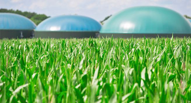 Biogaz i biometan źródłem zielonej bioenergii