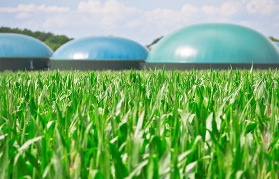 Biogaz i biometan źródłem zielonej bioenergii