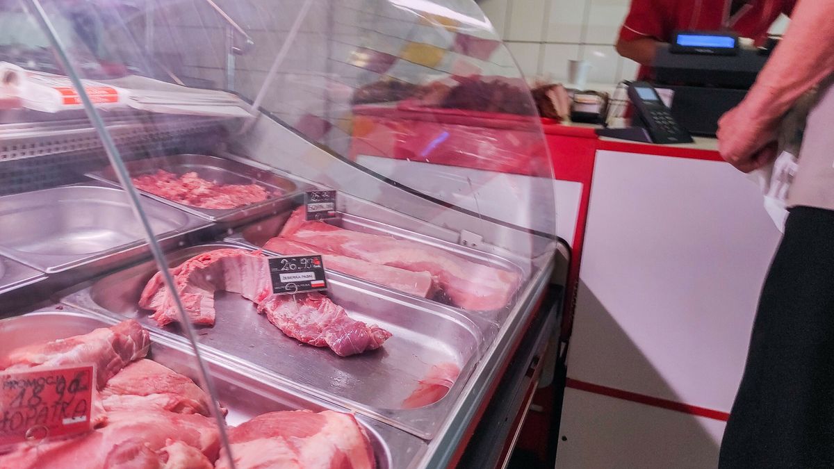 GUS przeprowadzi w czerwcu badanie pogłowia świń