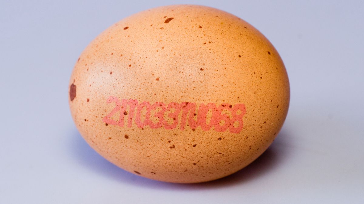 Kody i symbole na skorupkach jajek. Co właściwie oznaczają? Zdjęcie ilustracyjne