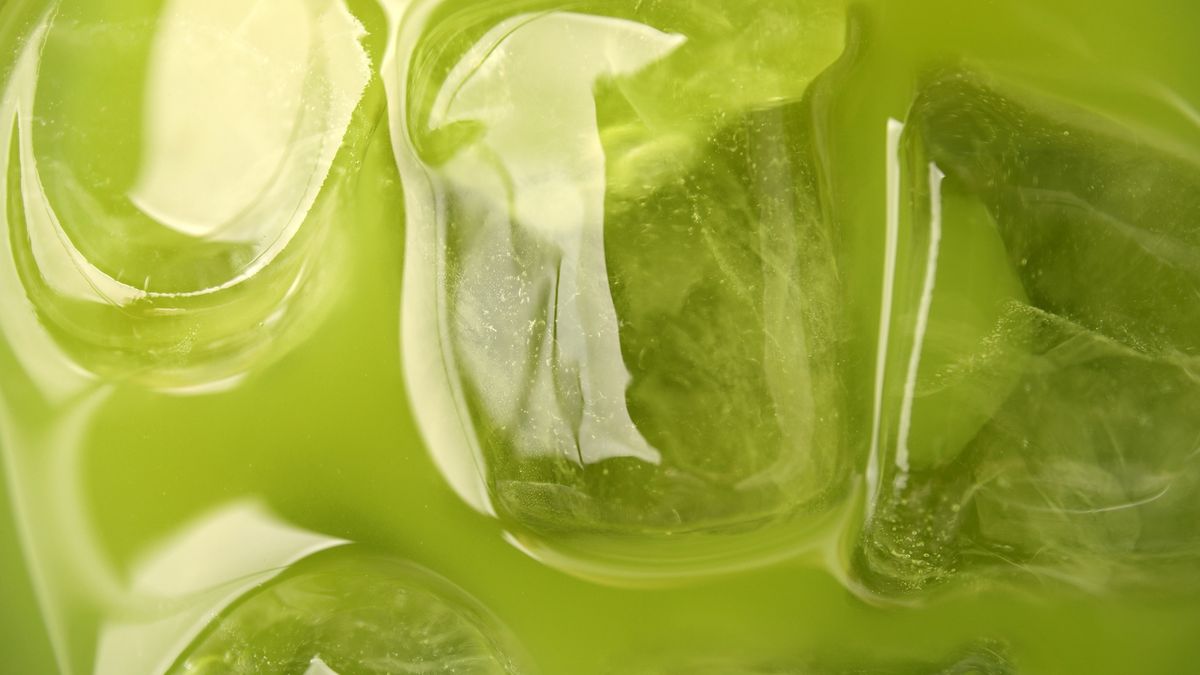 Matcha ma wiele korzyści zdrowotnych