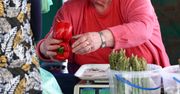 Takie ceny papryki niepokoją plantatorów. Zostawią ją na polu?