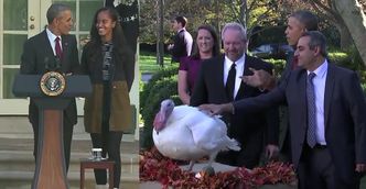 Obama ułaskawił dwa indyki z okazji Święta Dziękczynienia