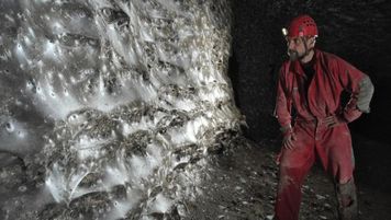 "Megamiasto" w zabójczej jaskini. Żyje tam ponad 100 tys. pająków