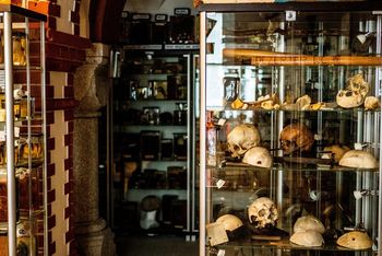 Zestaw do polowania na wampiry trafił do polskiego muzeum. "Siły nieczyste miały się bać"