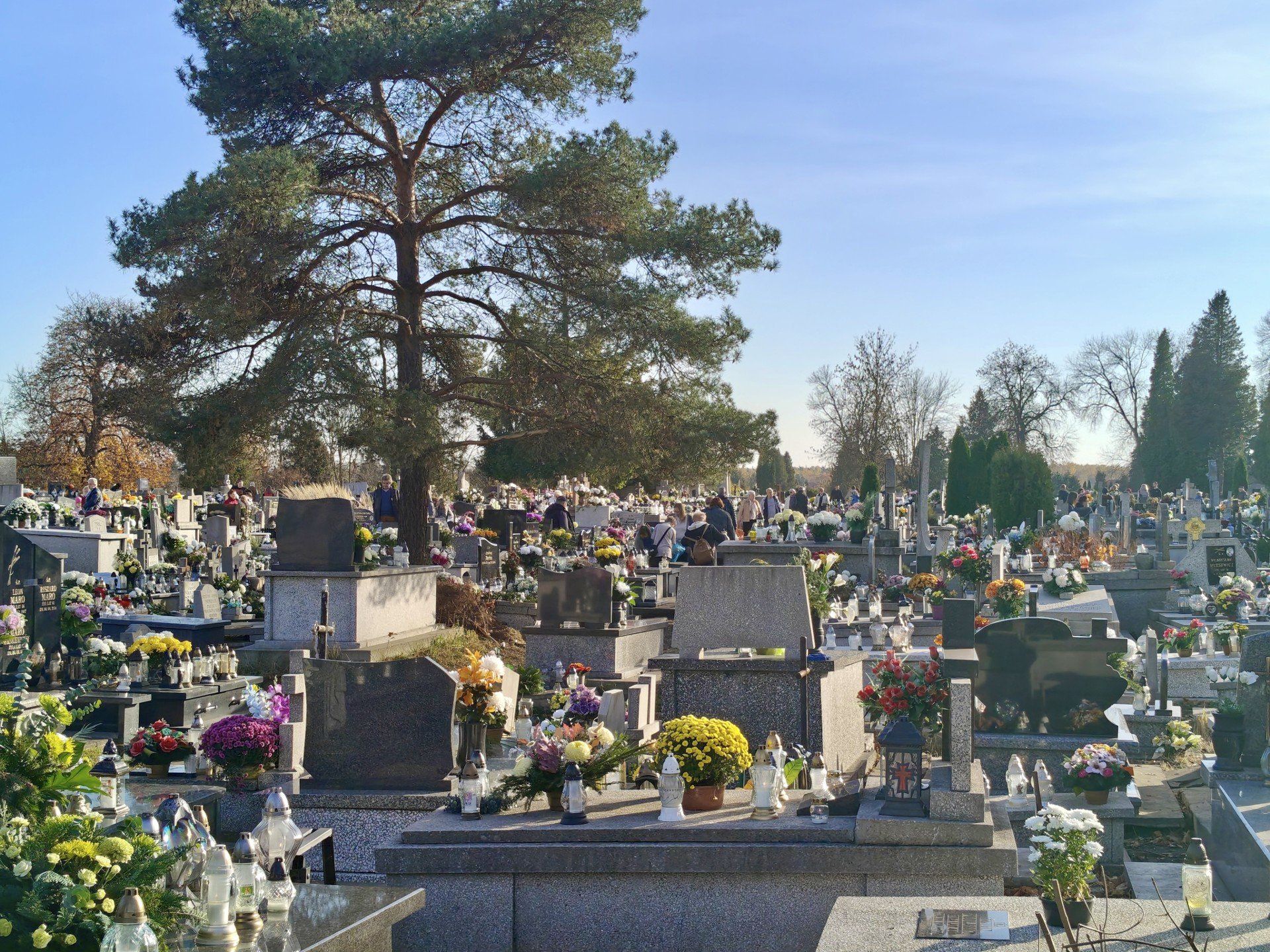 Przewijaj w dół, aby przejść do następnych zdjęć!