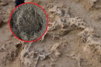 Odkryto je na wydmach Murcji. To pierwsze takie znalezisko w regionie