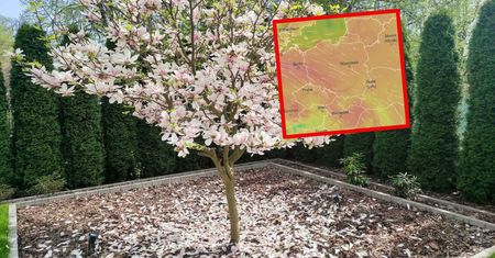 Zmiana w pogodzie. Odczujemy już w połowie tygodnia