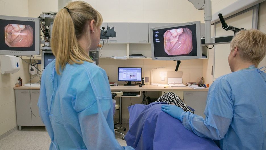 Kolonoskopia polega na wprowadzeniu do odbytu kolonoskopu zakończonego kamerą, który pozwala obejrzeć wnętrze jelita grubego..