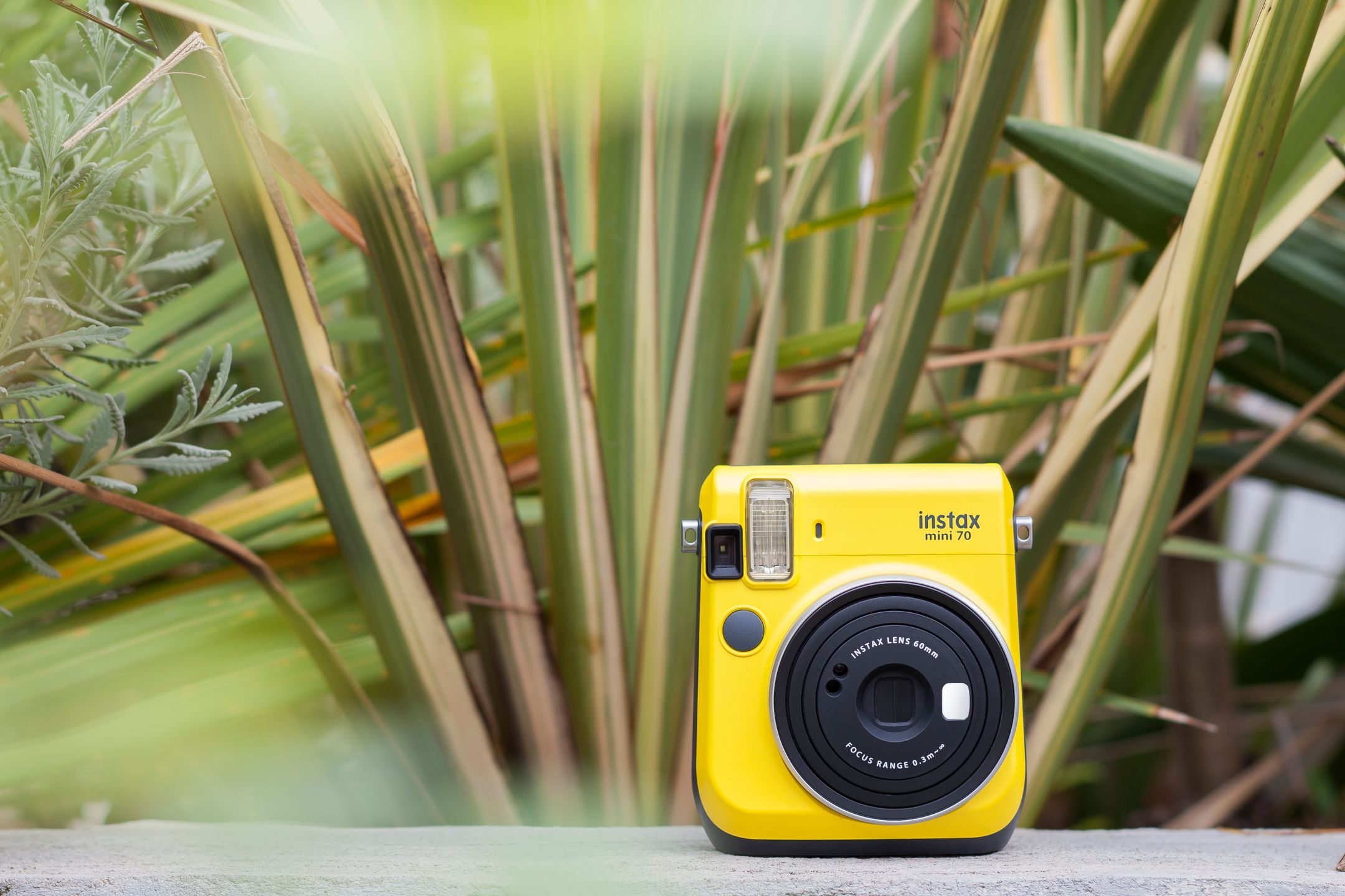 Wymyśl natychmiastowe hasło i zgarnij aparat Fujifilm Instax mini 70 13