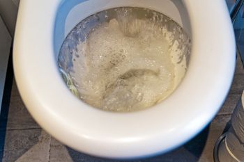 Pod żadnym pozorem nie wrzucaj do WC. Kara to nawet 10 tys. zł