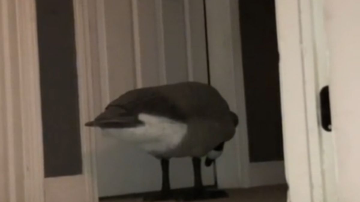 ges chlopiec sen strach kobieta