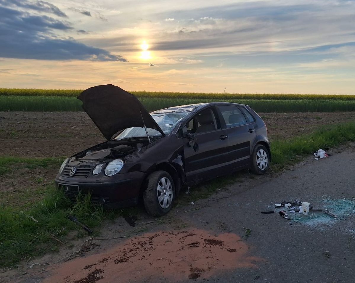 Dachowała volkswagenem z powodu zająca. Prawo jazdy posiada od miesiąca