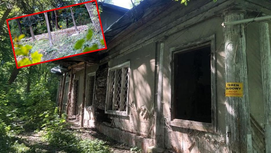 Fot. MWKZ / Michał Laszczkowski