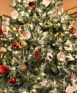 Boże Narodzenie 2020. Limit osób na Wigilii. Ekspert komentuje