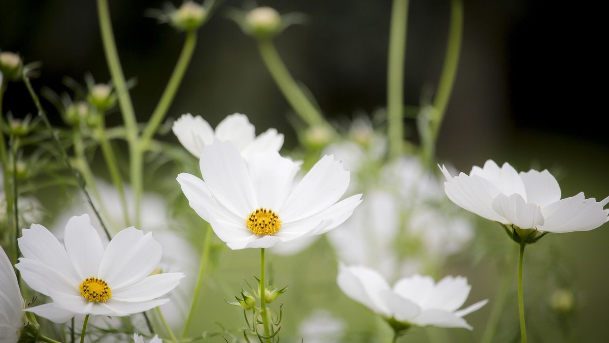 Podwójne doładowanie na majówkę w Plus na Kartę [#wSkrócie] 1