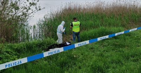 Pies miał przywiązaną cegłę. Wstrząsające odkrycie w Szczytnie